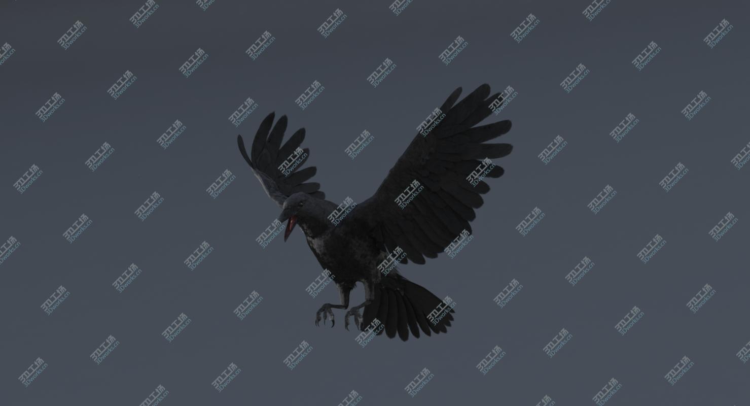 images/goods_img/20210113/3D Crow Rigged model/4.jpg